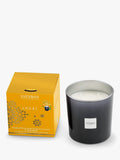 Esteban Ambre Scented Candle 450G