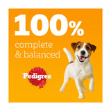 Pedigree Adult Wet Dog Food Pouches Mixed In Jelly 12x100g