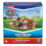 Paw Patrol Pup Squad Surprise Figures Assortment