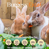 Burgess Excel Feeding Hay with Meadow Flowers 500g