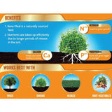 Westland Bonemeal Root Builder 1.5 kg GOODS M&S