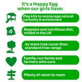 The Happy Egg Co Free Range 10 Large Eggs