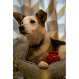 Sleep & Replenish Ultimate Sleep Cream 50ml