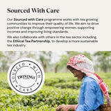 Twinings Superblends Digest with Spearmint Apple Rooibos