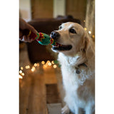 Set of 2 Artificial Cow Parsley Single Stems