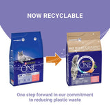 Purina One Salmon Dry Cat Food