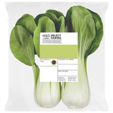 MS Pak Choi