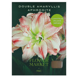 M&S Aphrodite Double Flower Amaryllis Indoor Plant