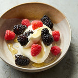 AATU Adult Duck & Turkey Wet Dog Food Tins