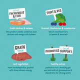 Edgard Cooper Senior Grain Free Dry Dog Food Free-Run Chicken Salmon