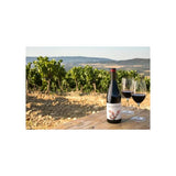 La Miranda Secastilla Garnacha Somontano