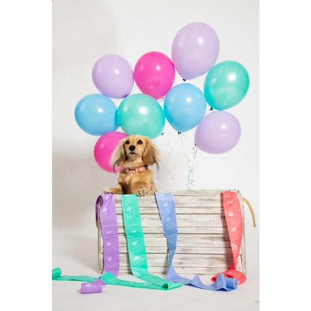 Adios Compostable Dog Poo Bags - Rainbow 120 per pack - McGrocer