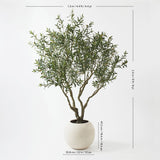 Artificial 8ft Olive Tree in Planter - McGrocer