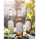 Bitburger Premium Pils 12 x 330ml - McGrocer