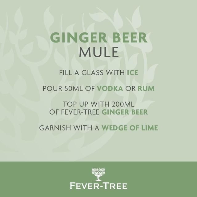 Fever-Tree Premium Ginger Beer 4 x 200ml