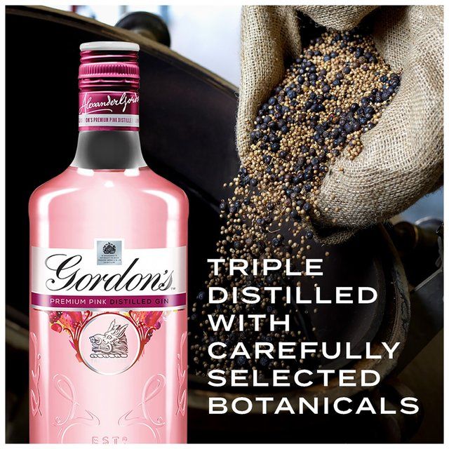 Gordon's Premium Pink Distilled Flavoured Gin 1L