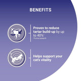 Purina One Chicken Dry Cat Food 800g