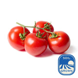 Natoora Sicilian Vine Ripened Tomatoes   350g