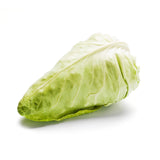 Daylesford Organic Green Pointed Cabbage