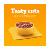 Pedigree Adult Wet Dog Food Pouches Mixed In Jelly 12x100g