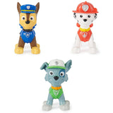 Paw Patrol Pup Squad Surprise Figures Assortment