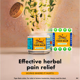 Tiger Balm White Ointment 30g
