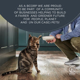 Encore Fish Selection In Broth Natural Cat Food Tins 12 x 70g