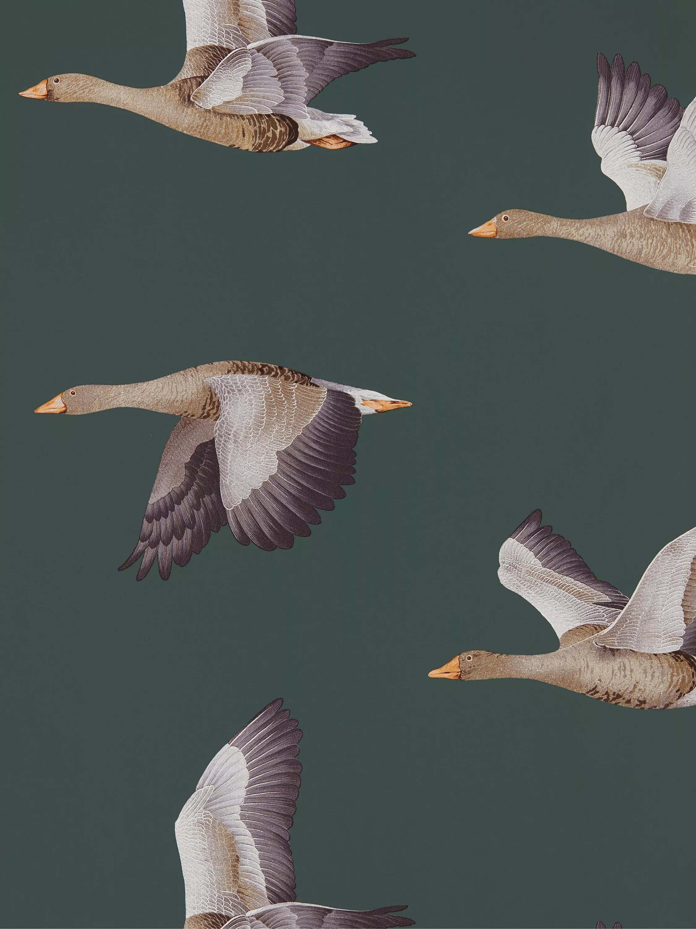 Sanderson Elysian Geese Wallpaper - McGrocer