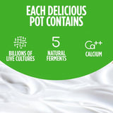 Activia Rhubarb Gut Health Fruit Yoghurt Multipack