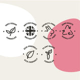 The Curators Tangy Cheese Protein Chips