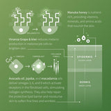 Antipodes Avocado Pear Collagen-Boosting Night Cream