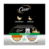 Cesar Fresh Bowl Adult Wet Dog Food Chicken & Duck Taster Multipack