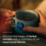 Pure Cashmere Crew Neck Jumper