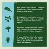 Beco Pets Eco Conscious Cod & Haddock Dry Dog Food