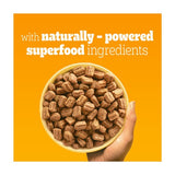 Personalised Safari Shape Sorter