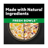 Cesar Fresh Bowl Adult Wet Dog Food Chicken & Duck Taster Multipack