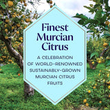 Bombay Sapphire Premier Cru Murcian Lemon Distilled London Dry Gin   70cl - McGrocer