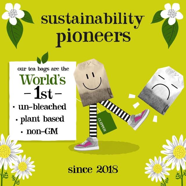 Clipper Organic Fairtrade Green Tea Bags   20 per pack