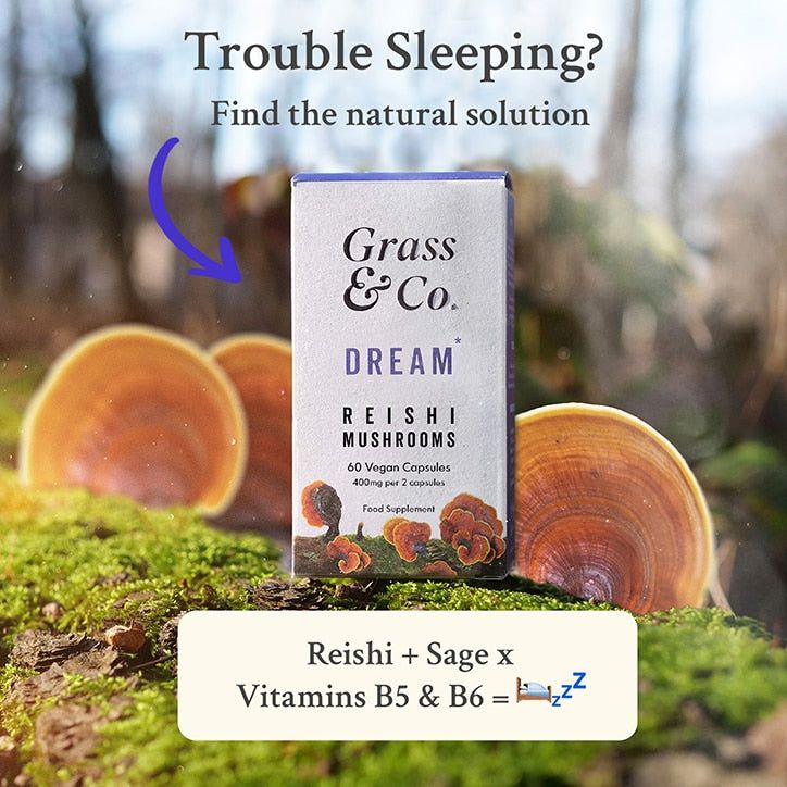 Grass &amp;amp; Co. DREAM Reishi Mushrooms with Magnesium + Sage, 60 Vegan Capsules