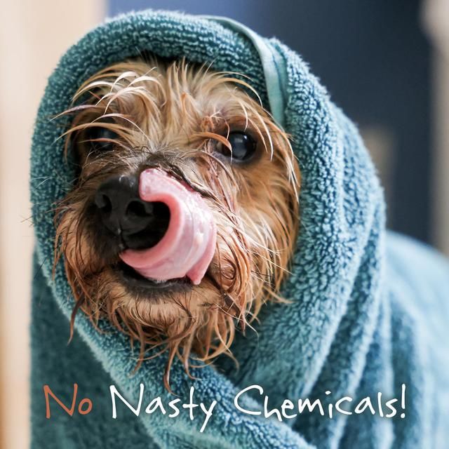 Little Beast Organic Scruffy Dog Shampoo Bar   100g