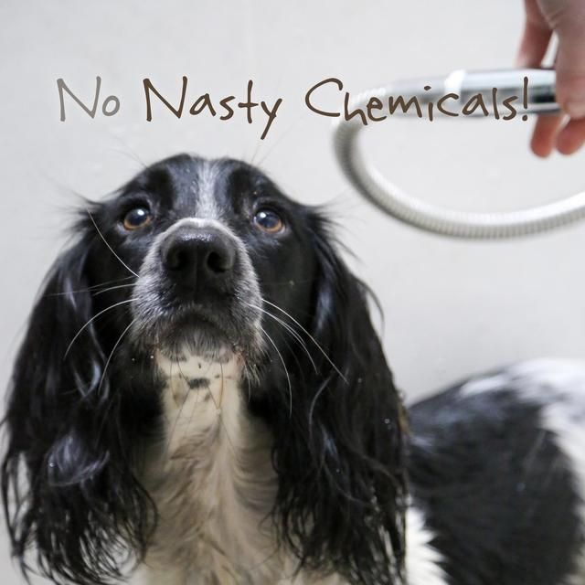 Little Beast Organic Sensitive Dog Shampoo Bar   100g