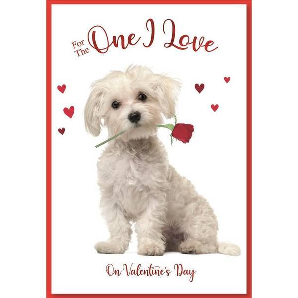 Simon Elvin One I Love Puppy Valentine Card (Pack of 6)