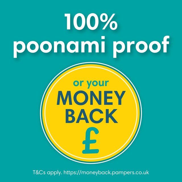 Pampers Baby-Dry Nappies Size 4 (9-14kg) Essential Pack   44 per pack