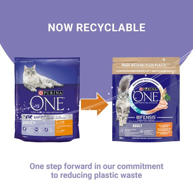 Purina One Chicken Dry Cat Food    800g