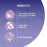 Purina ONE Sensitive Dry Cat Food Turkey and Rice   2.8kg