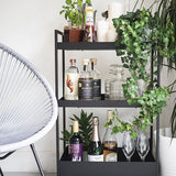 Rochester Rum &amp;amp; Raisin Drink 725ml