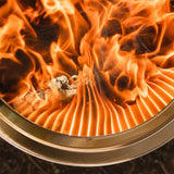 Solo Stove Bonfire 2.0 Wood Burning Stainless Steel Fire Pit Bundle